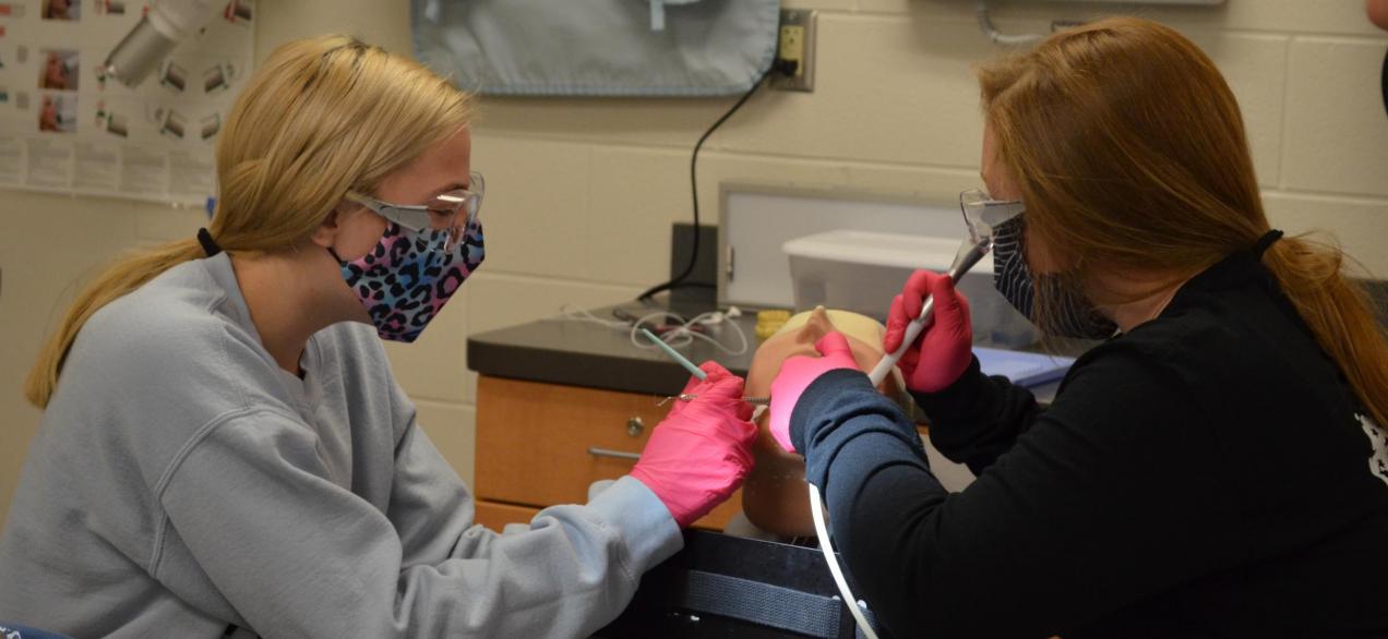 Dental Assisting students practice cleaning on a dental head