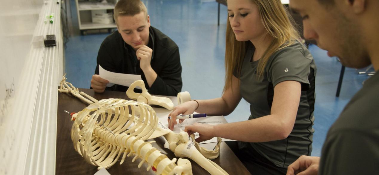 Image of student studying anatomy on a skeleton 