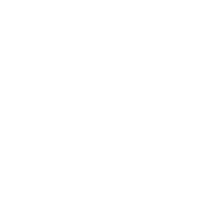 MT RAMTEC icon - grey