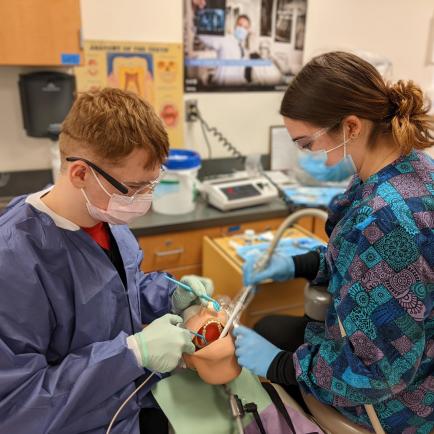 dental