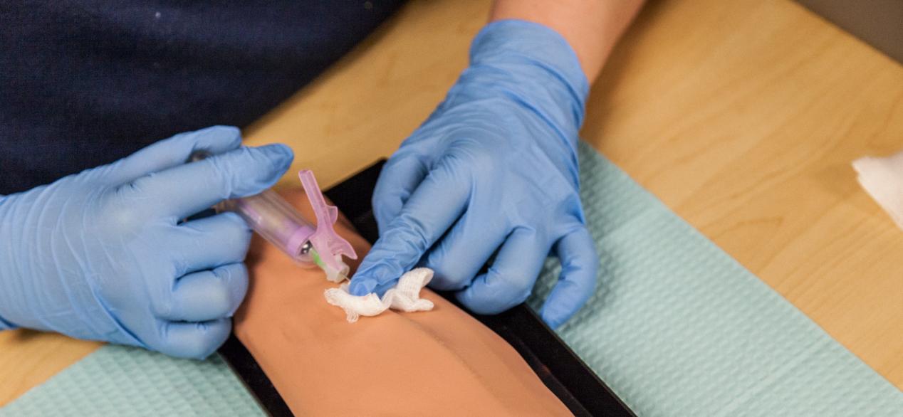 Student drawing blood