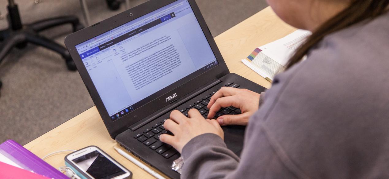 Image of student working on a laptop in class