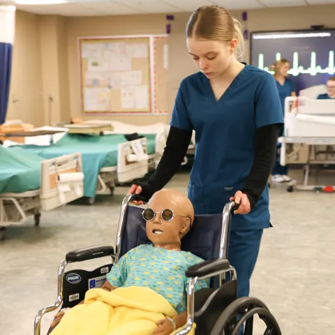 nurse assistant pushing wheelchair