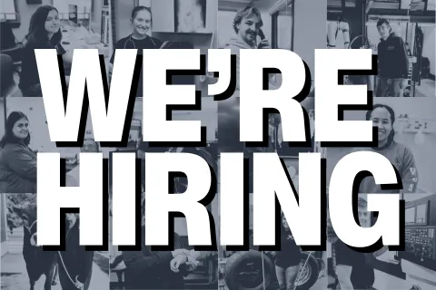 we're hiring